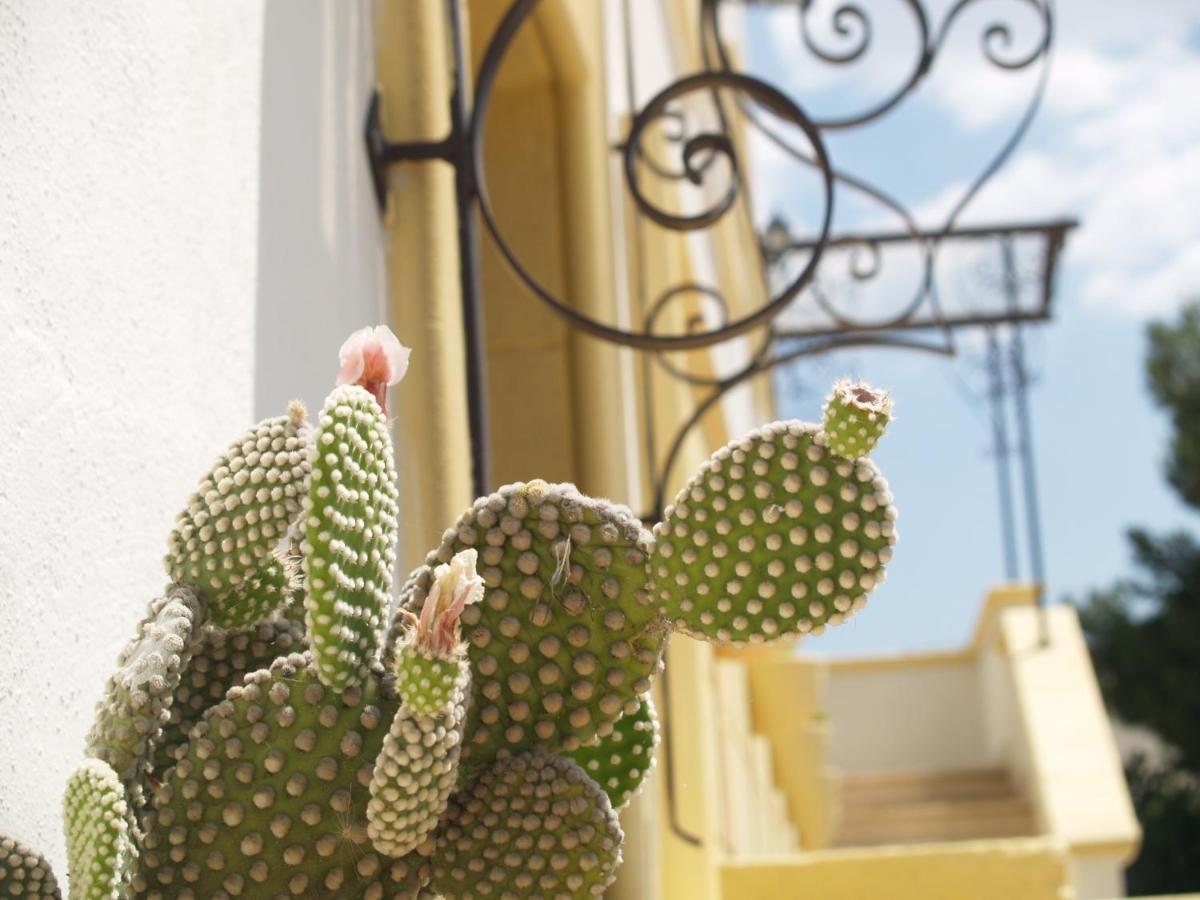 Bed and Breakfast Sogni D'Oro Grottaglie Exterior foto
